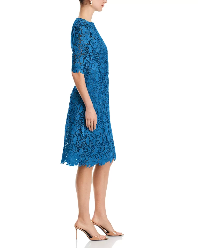 Jewel Neck Lace Dress Full Size Image 3