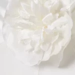 Embellished Silk-charmeuse Halterneck Gown Thumbnail 4