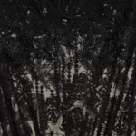 Cotton Blend Lace Long Dress Thumbnail 2