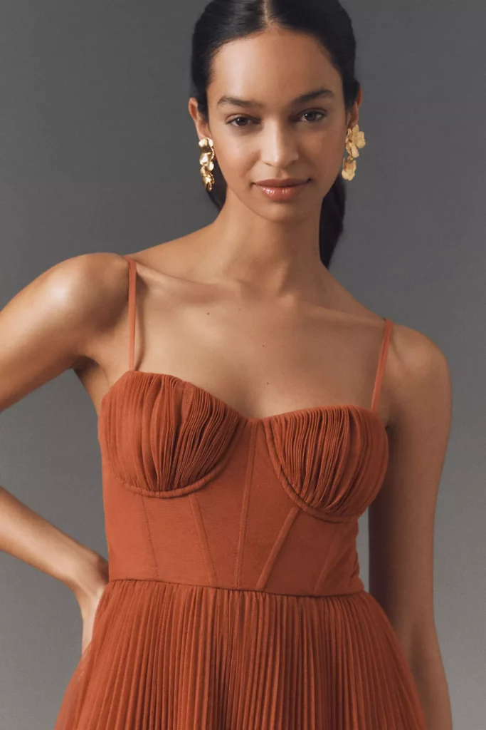 Amara Corset Pleated Tulle Fit & Flare Midi Dress Full Size Image 4