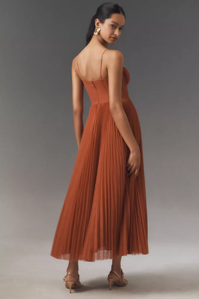 Amara Corset Pleated Tulle Fit & Flare Midi Dress Full Size Image 3