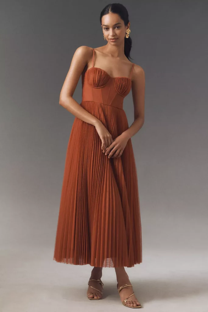 Amara Corset Pleated Tulle Fit & Flare Midi Dress Full Size Image 1