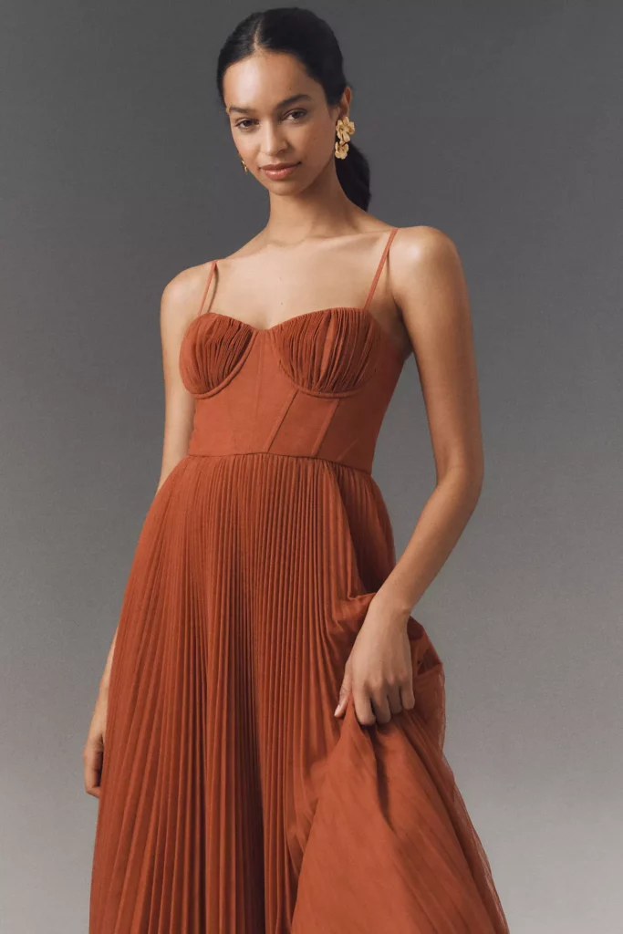 Amara Corset Pleated Tulle Fit & Flare Midi Dress Full Size Image 2