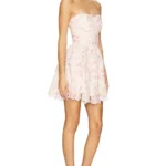 Rosa Mini Dress Thumbnail 2