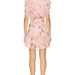 Ritzy Dress Thumbnail 2
