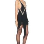 Embroidered Mini Dress Thumbnail 3