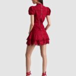 Loryn Embroidered Shirt Dress Thumbnail 4