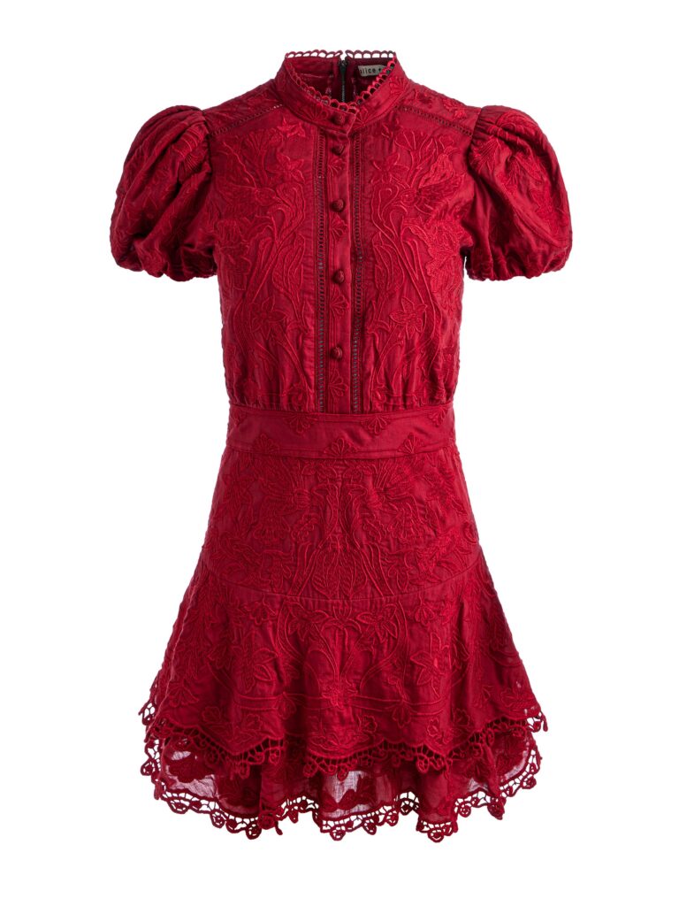 Loryn Embroidered Shirt Dress Full Size Image 5