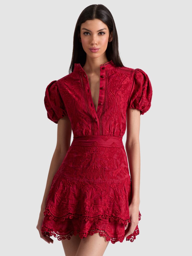 Loryn Embroidered Shirt Dress Full Size Image 3