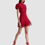 Loryn Embroidered Shirt Dress Thumbnail 6