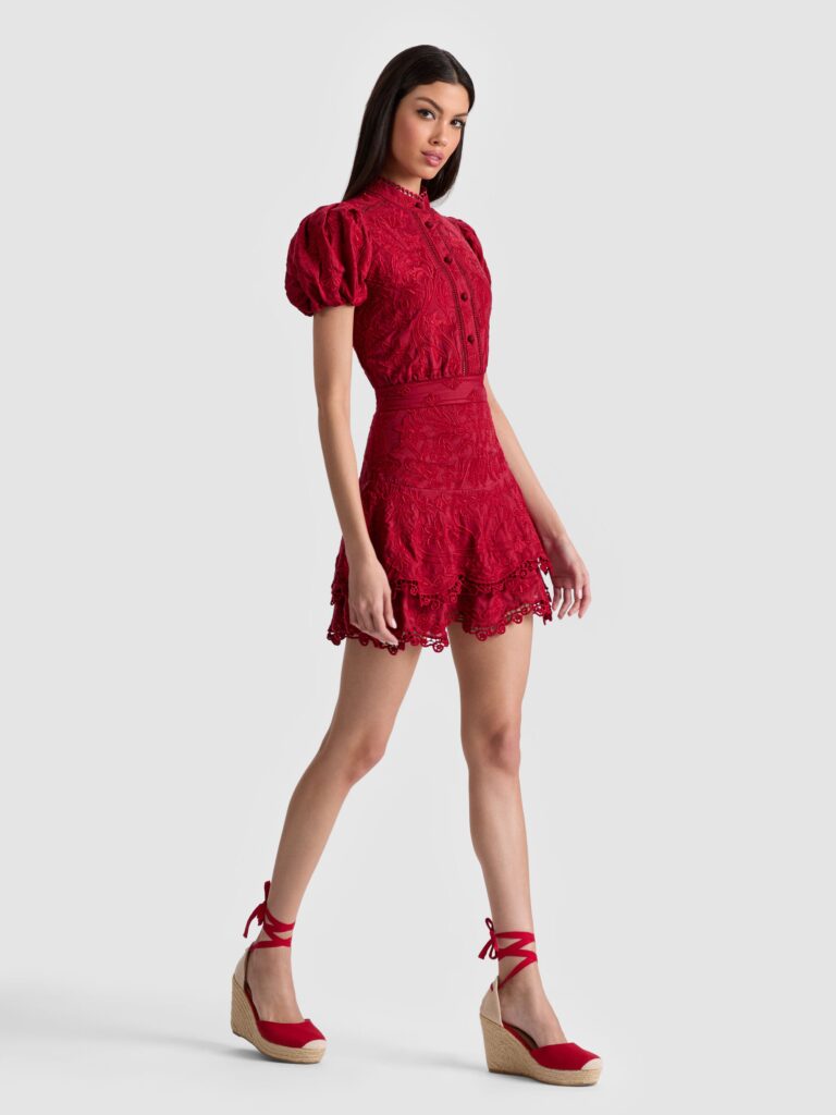 Loryn Embroidered Shirt Dress Full Size Image 6