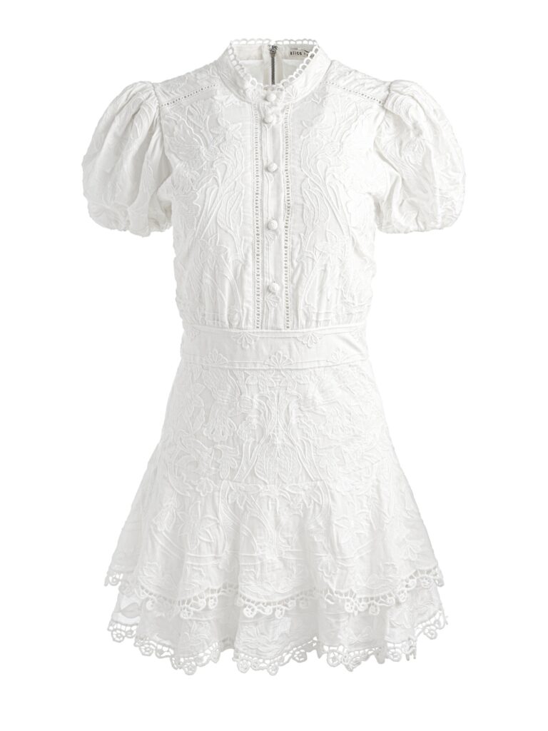 Loryn Embroidered Shirt Dress Full Size Image 2