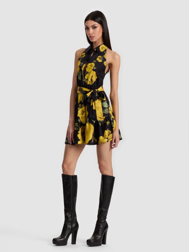 Miranda Mini Dress Full Size Image 6