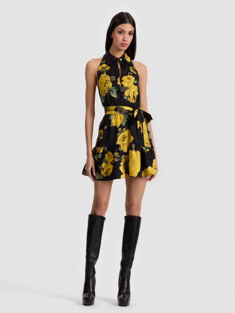 Miranda Mini Dress Full Size Image 1
