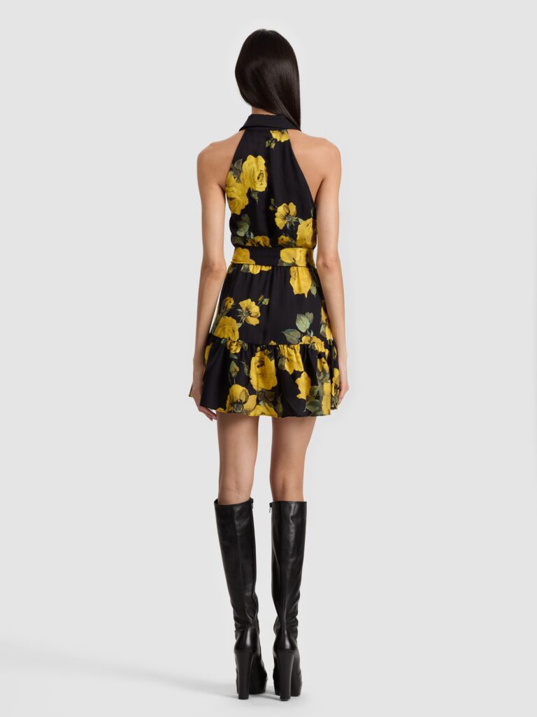 Miranda Mini Dress Full Size Image 3