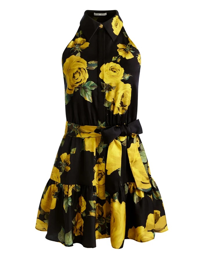 Miranda Mini Dress Full Size Image 5