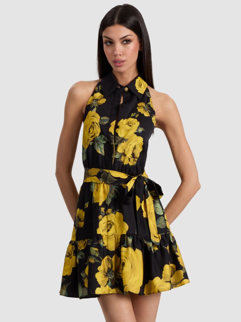 Miranda Mini Dress Full Size Image 2