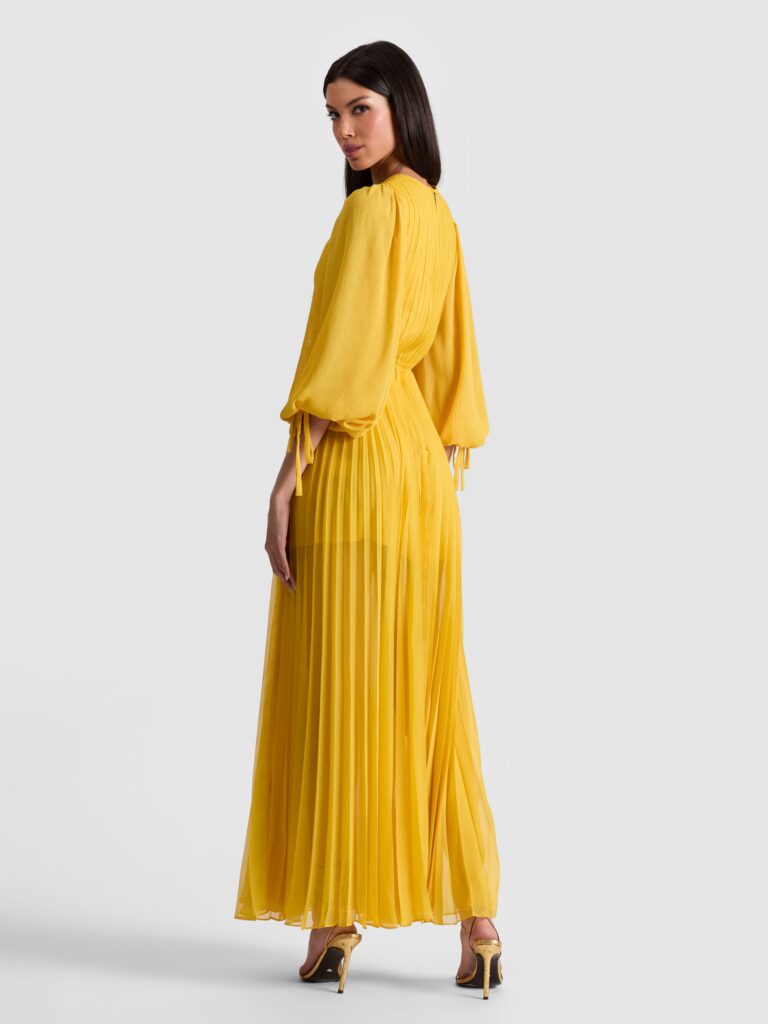 Nya Pleated Maxi Dress Full Size Image 4