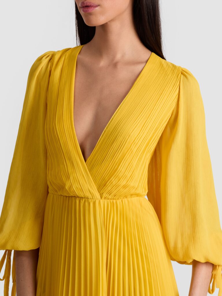 Nya Pleated Maxi Dress Full Size Image 5