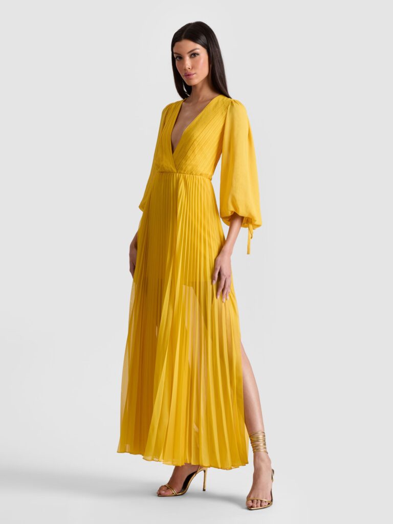 Nya Pleated Maxi Dress Full Size Image 2