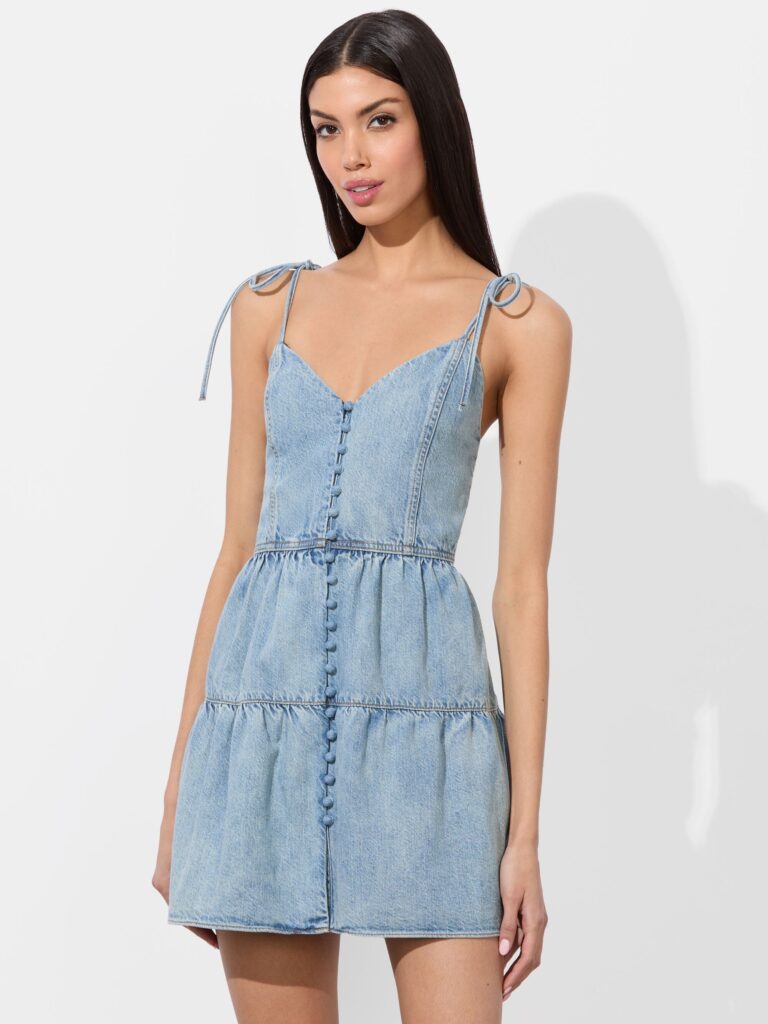 Shanti Denim Mini Dress Full Size Image 2