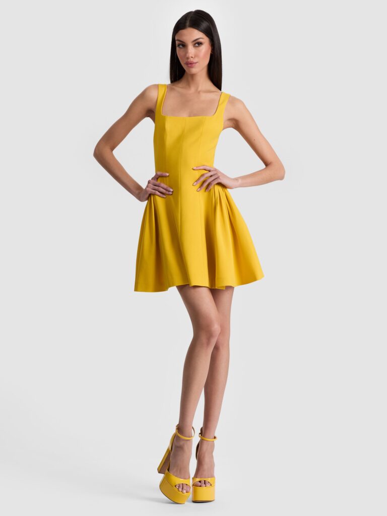 Vera Mini Dress Full Size Image 1