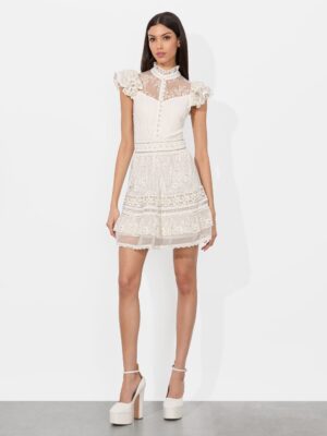 ALICE + OLIVIA Vernita Embroidered Mini Dress