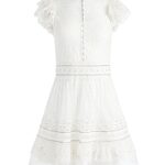 Vernita Embroidered Mini Dress Thumbnail 2