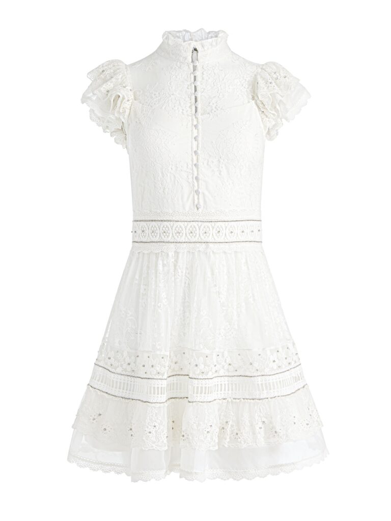 Vernita Embroidered Mini Dress Full Size Image 2