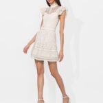 Vernita Embroidered Mini Dress Thumbnail 4