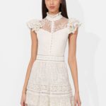 Vernita Embroidered Mini Dress Thumbnail 6