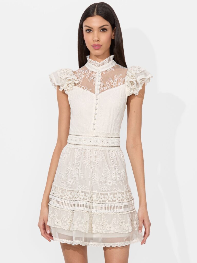Vernita Embroidered Mini Dress Full Size Image 6