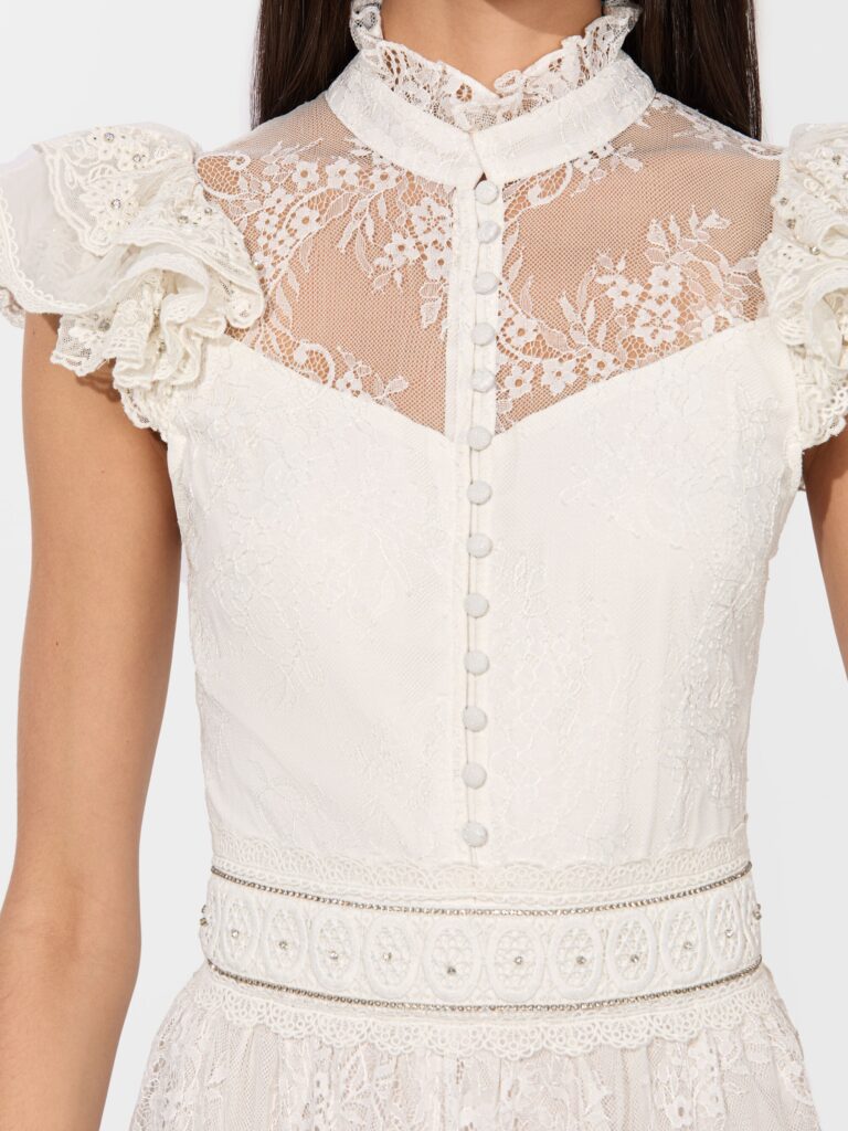 Vernita Embroidered Mini Dress Full Size Image 7
