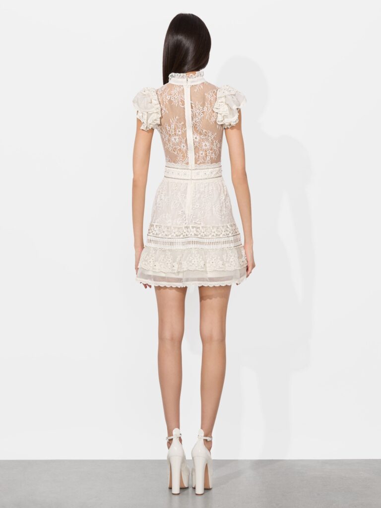 Vernita Embroidered Mini Dress Full Size Image 5