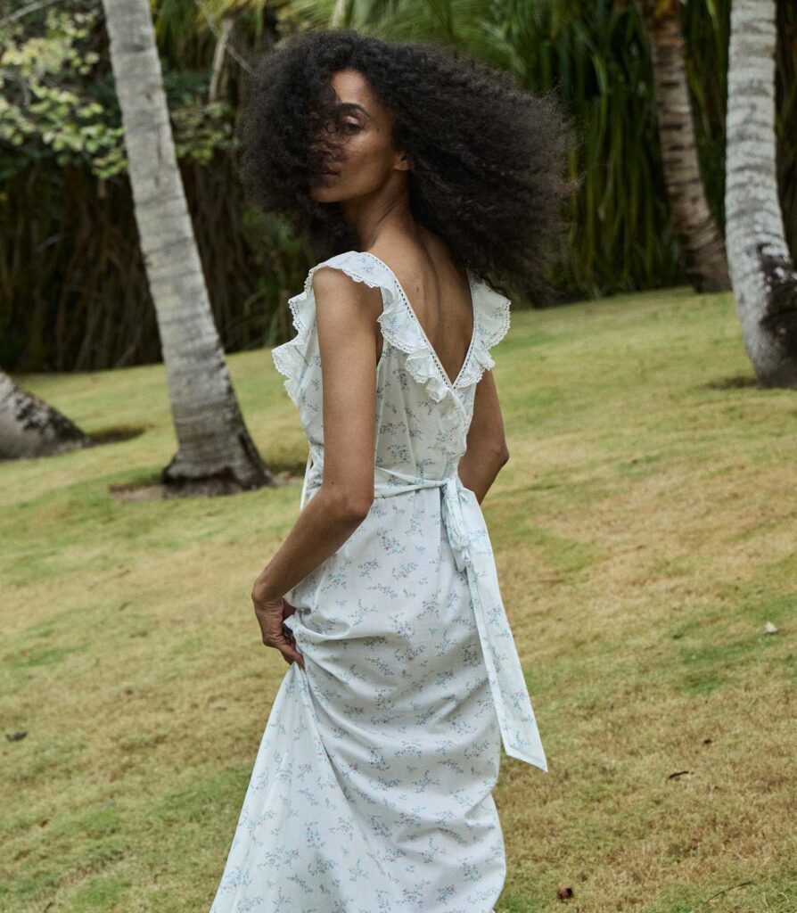 Lucette Dress Full Size Image 3