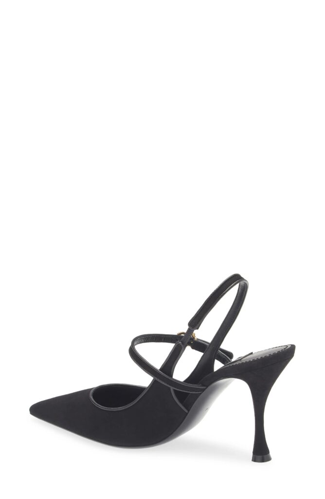 Pointed Toe Slingback Pump Full Size Image 2