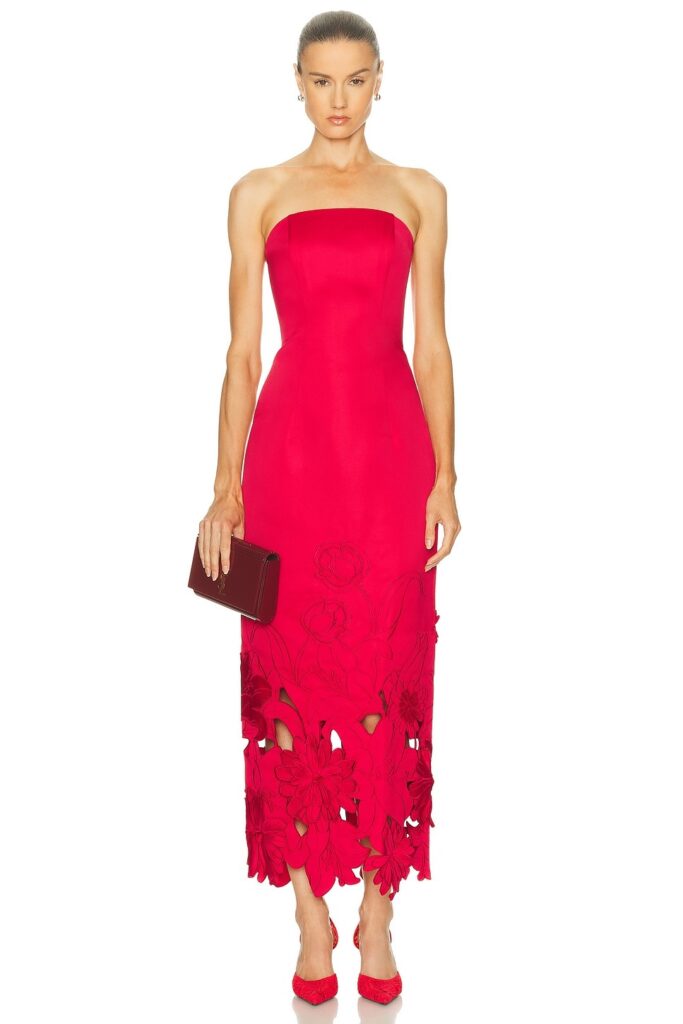 Zayna Applique Bustier Maxi Dress Full Size Image 1