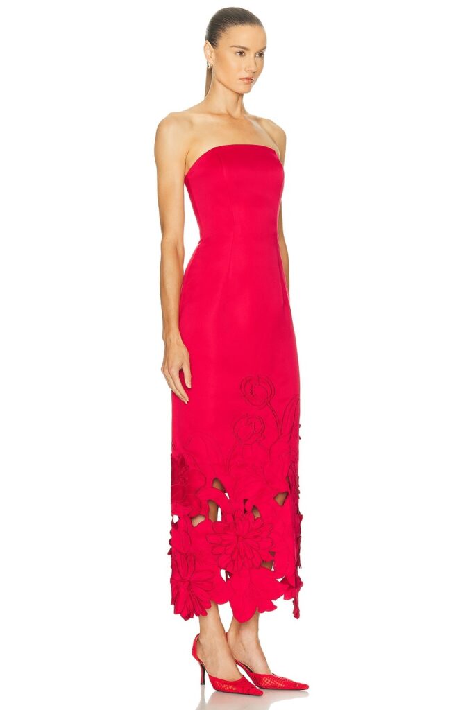 Zayna Applique Bustier Maxi Dress Full Size Image 2