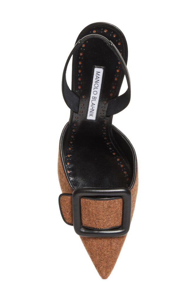 Mayslibi Buckle Slingback Pump Full Size Image 3