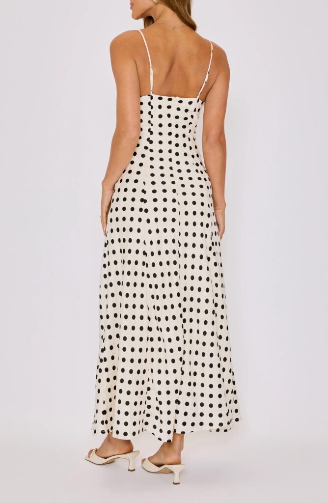 Paulina Polka Dot Maxi Dress Full Size Image 5