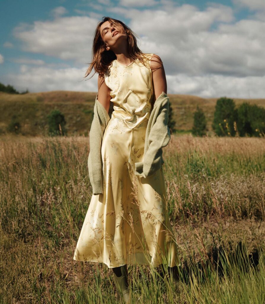 Adelana Dress Full Size Image 3