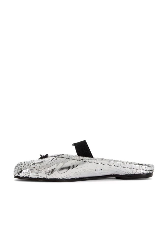 Ballet Flat Full Size Image 5