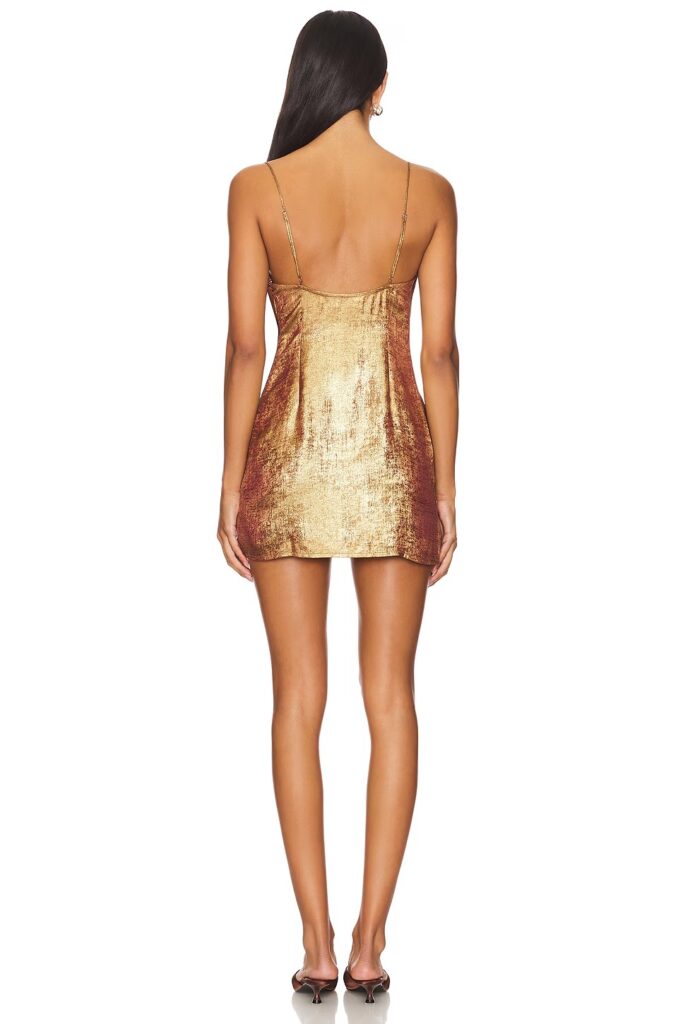 Matti Mini Dress Full Size Image 2
