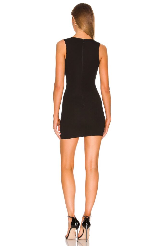 Skye Mini Dress Full Size Image 2