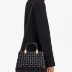 Serpentine Day Duo Leather Top Handle Bag Thumbnail 3