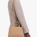 Serpentine Day Duo Leather Top Handle Bag Thumbnail 4