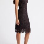 Lace Sheath Dress Thumbnail 4