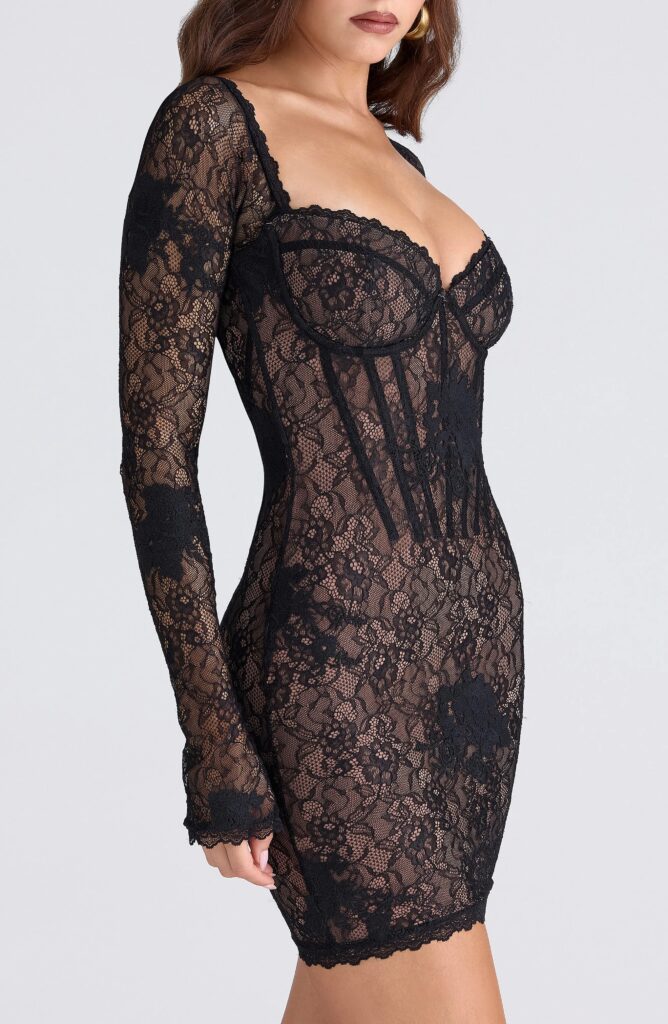 Lucienne Long Sleeve Stretch Lace Minidress Full Size Image 4