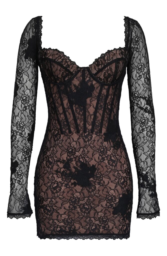 Lucienne Long Sleeve Stretch Lace Minidress Full Size Image 6