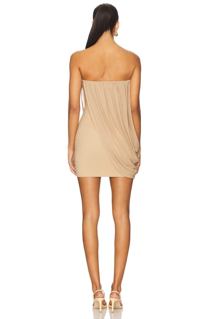 Elodie Mini Dress Full Size Image 4